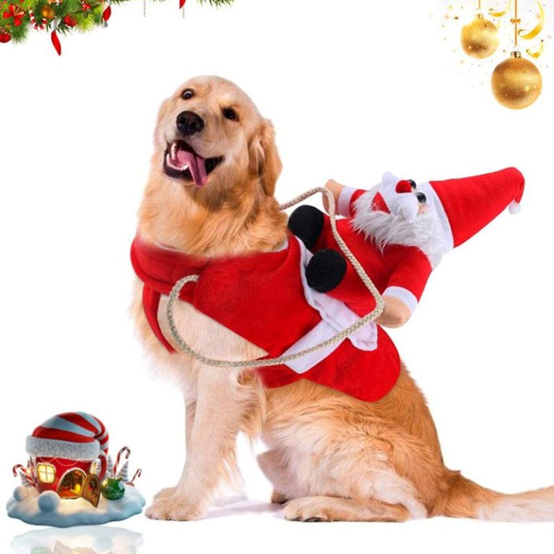 Viste a tu peludo con el espíritu navideño🎅🏻