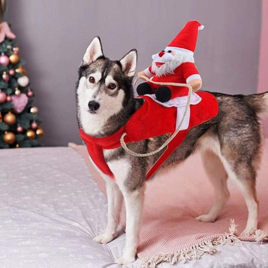 Viste a tu peludo con el espíritu navideño🎅🏻