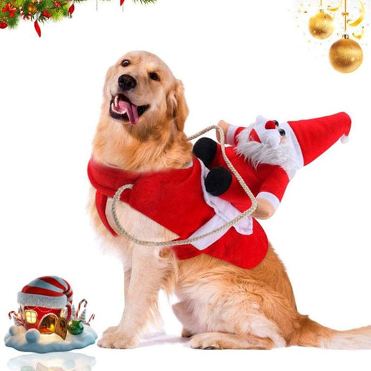 Viste a tu peludo con el espíritu navideño🎅🏻